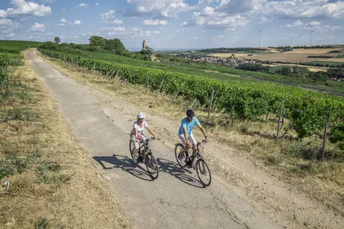 Radfahren im Zellertal