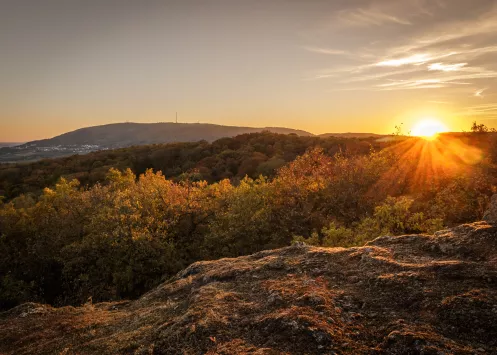 Sonnenuntergang am Drosselfels, Kirchheimbolanden