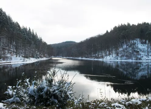 Winterwandern Eiswoog