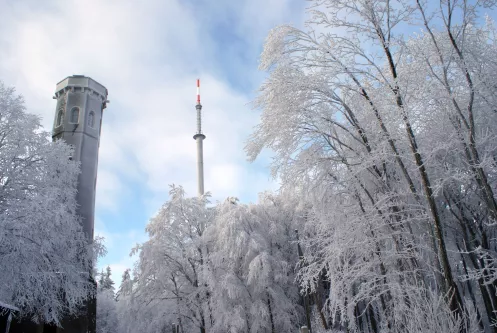 Winterwandern Ludwigsturm