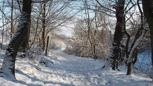 Winterwandern Schillerhain