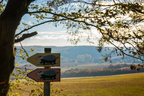 Aussicht vom Dachsi-Wanderweg