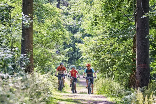MTB im Donnersberger Land