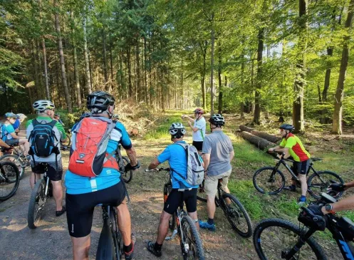 Treffpunkt Wald - MTB-Tour