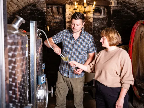 Wein testen im Weinkeller des Weingut Hahnmühle