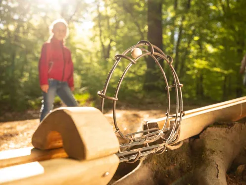 Looping Murmelbahn