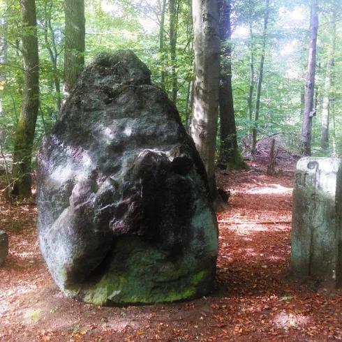 Menhir_Hinkelstein_VG_Winnweiler_SSprinz