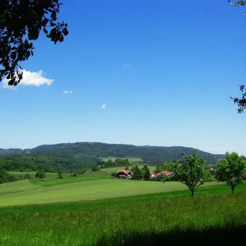 Blick auf Donnersbergmassiv von Igelborner Hütte