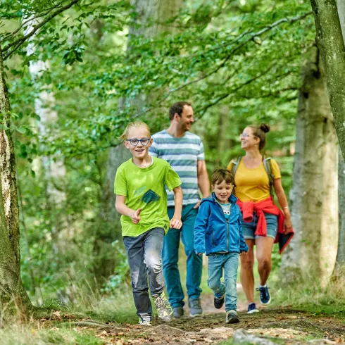 Eine Familie wandert fröhlich im Wald. Die Kinder lachen und genießen die Natur.