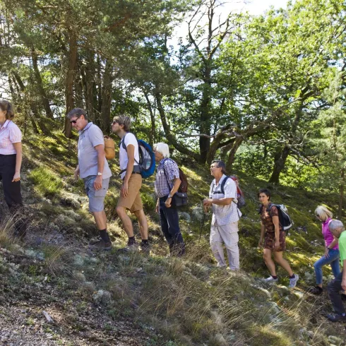 Geo Tour Imsbach (© Donnersberg-Touristik-Verband)