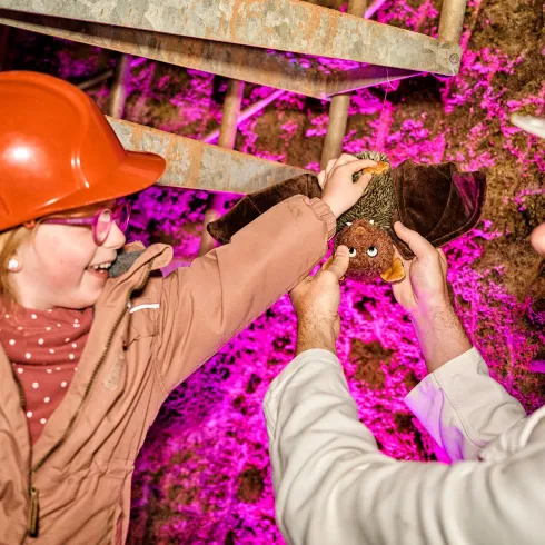Ein Programm für die ganze Familie (© Donnersberg-Touristik-Verband e.V., Florian Trykowski) Ein Programm für die ganze Familie (© Donnersberg-Touristik-Verband e.V., Florian Trykowski)