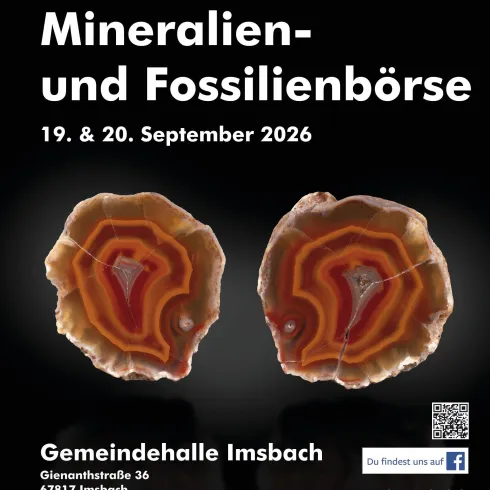 Ein Poster für die 40. Donnersberger Mineralien- und Fossilienbörse. Die Veranstaltung findet am 19. und 20. September 2026 in der Gemeindehalle in Imsbach statt.