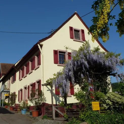 Ferienwohnung "Blick zum Donnersberg" (© Ferienwohnung Toonstra)