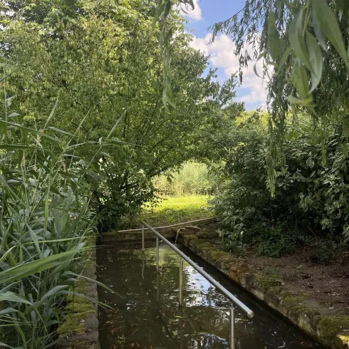 Das Kneippbecken