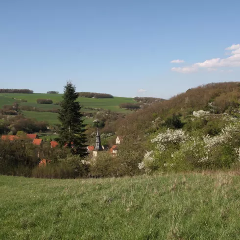 Landschaft in der Nordpfalz bei Schiersfeld