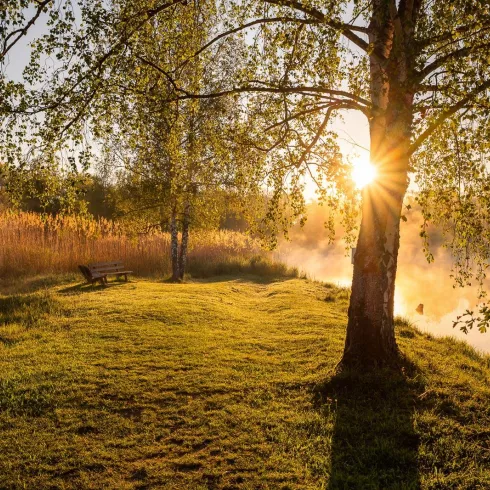 Sonnenaufgang in der Erdekaut