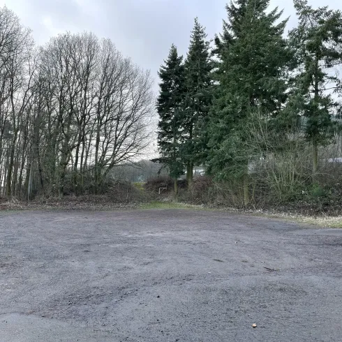 Ein ungenutzter Bereich mit Asphaltboden, umgeben von Bäumen. Im Hintergrund sind weitere Bäume und ein Schild sichtbar.