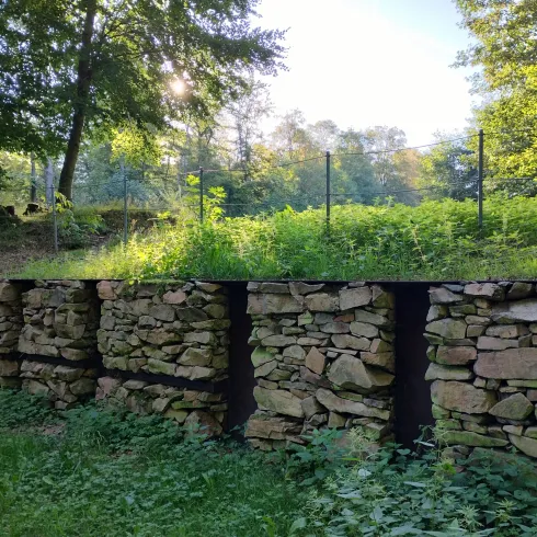 Restaurierte Mauer im Zwischenwall (© Donnersberg-Touristik-Verband e.V.)