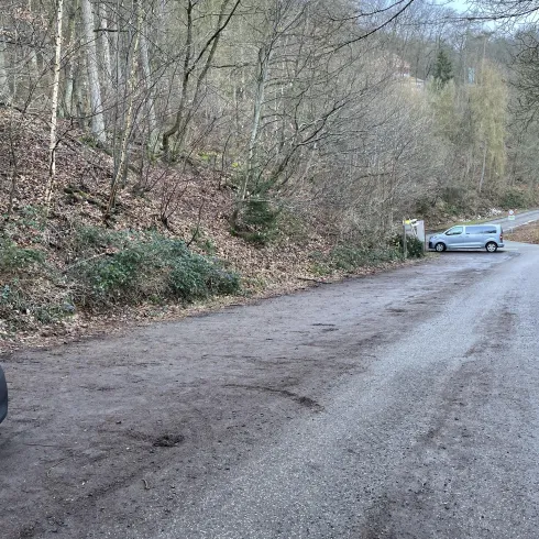 Parkplatz Dannenfels-Geisberg