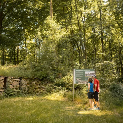 Keltischer Ringwall (© Donnersberg-Touristik-Verband e.V., Sven Hasselbach)