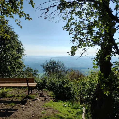 Aussichtspunkt Hirtenfels (© Donnersberg-Touristik-Verband e.V.)