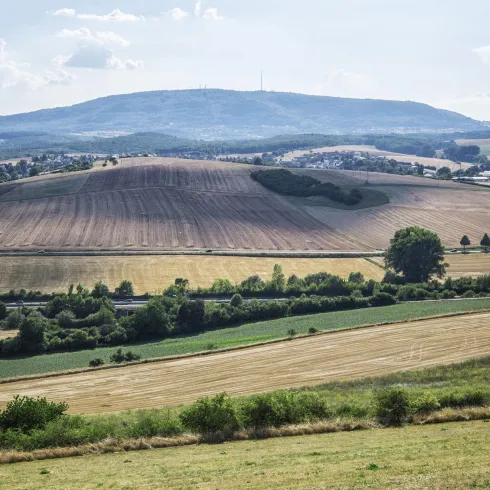 Blick vom Hungerberg zum Donnersberg