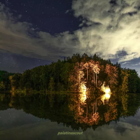 Sternenstumpfwald (© Palatinascout Volker Schledorn) Sternenstumpfwald (© Palatinascout Volker Schledorn)