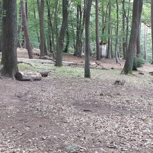Überblick Trekkingplatz Ramsen