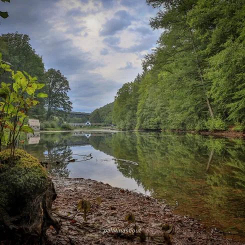 Ein ruhiger Fluss mit angeordnetem Ufer und dichten Bäumen. Der Himmel ist bewölkt und spiegelt sich im Wasser.