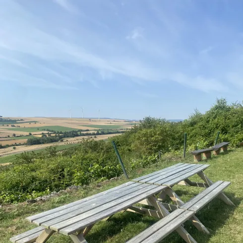 Picknickmöglichkeit am Wartturm