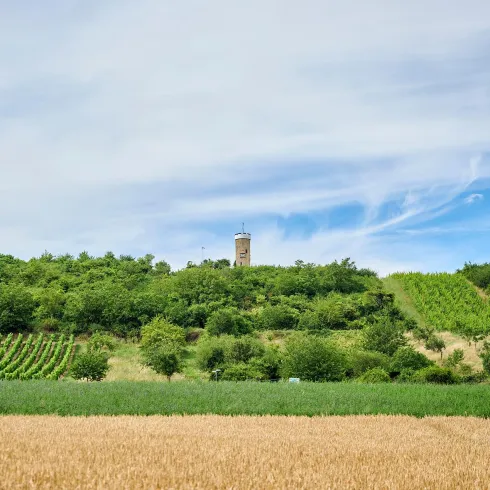 Blick auf den Wartturm