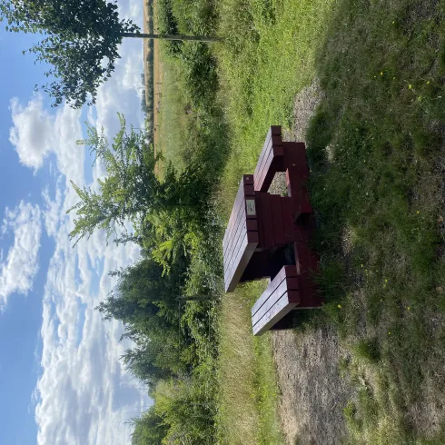 Picknickbank am Renaturierungsgebiet