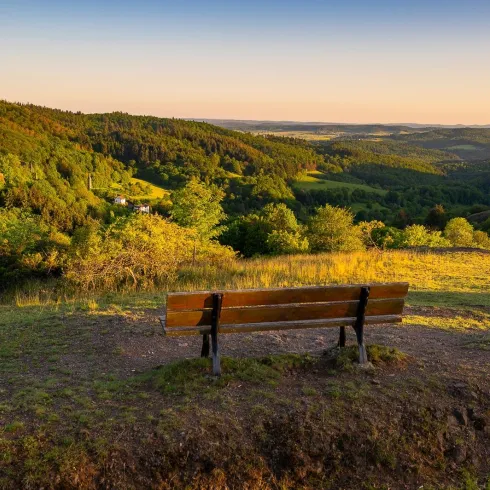 Eine Bank steht auf einem Hügel mit Blick auf eine grüne Tal- und Waldlandschaft. Der Himmel zeigt sanfte Farben des Sonnenuntergangs.