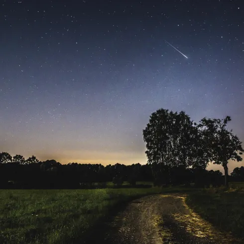 Eine ruhige Landschaft bei Nacht mit einem klaren Himmel voller Sterne. Ein Lichtschein zeigt eine Sternschnuppe über einem schmalen Weg und Bäumen.