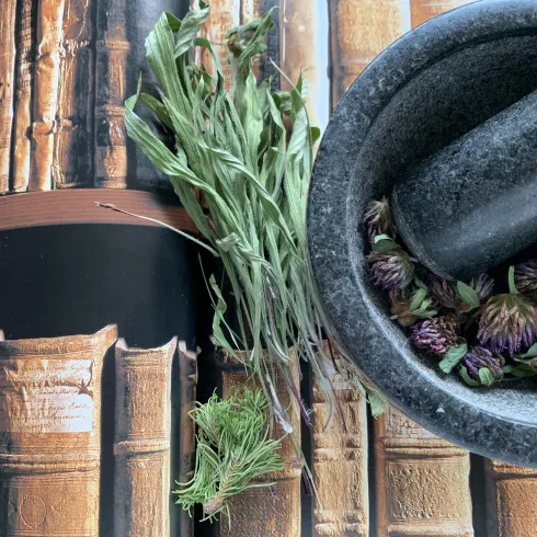 Ein Mörser mit getrockneten Kräutern und Blüten zusammen mit frischen Kräutern auf einem Hintergrund von alten Büchern. Das Bild vermittelt eine natürliche und handwerkliche Atmosphäre.