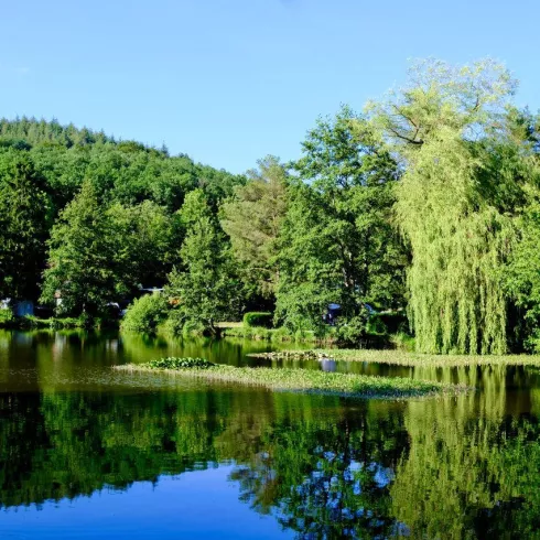 See (© Naturresort Waldglück GmbH & Co. KG) See (© Naturresort Waldglück GmbH & Co. KG)