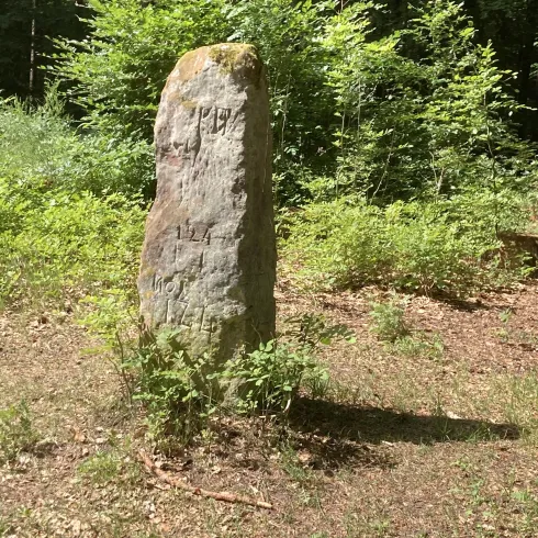 Menhir Langer Stein (albert koch)