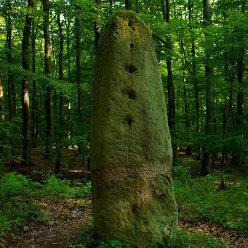 Langenstein bei Stahlberg (© VG Rockenhausen)