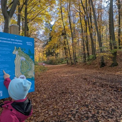 Ein Kind zeigt auf ein Informationsschild im Wald. Die Bäume haben herbstliche Farben und der Boden ist mit buntem Laub bedeckt.