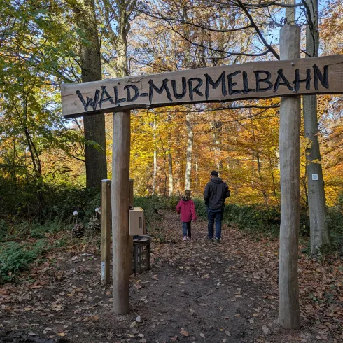 Ein Holzschild mit der Aufschrift "Wald-Murmelbahn" steht am Eingang eines Waldes. Im Hintergrund gehen ein Erwachsener und ein Kind auf einem Pfad durch die bunten Herbstbäume.