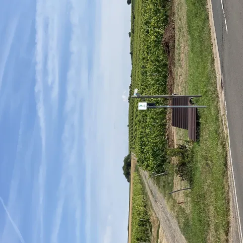 Ruheliege Einselthum Ruheliege Einselthum