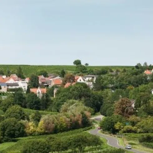 Eine malerische Landschaft mit einem kleinen Dorf und Weinbergen. Die Häuser haben rote Dächer und sind von üppigem Grün umgeben.