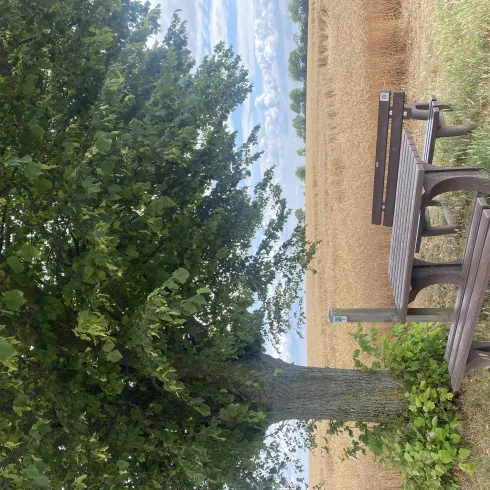 Picknickbank am Zellertalweg