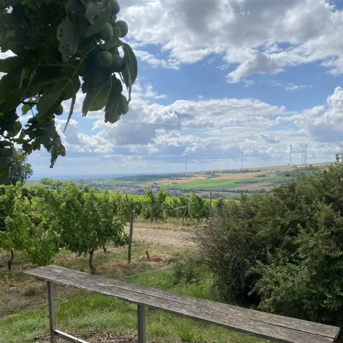 Bank mit Blick zum Zeller Ehrenmal