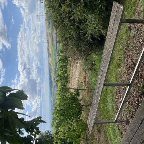 Bank mit Blick zum Zeller Ehrenmal