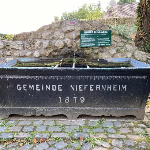 Armkneippbecken in Niefernheim Armkneippbecken in Niefernheim