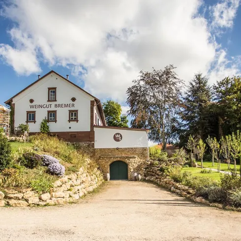 Ein Weinberg mit einem schönen, weißen Weingut und grünem Garten. Der Himmel ist klar mit einigen Wolken.