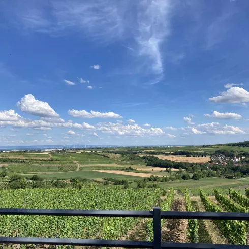 Blick von der Weinrast Mölsheim