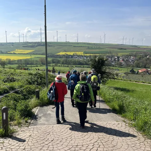 Wandergruppe auf dem Weg von Zell nach Harxheim.