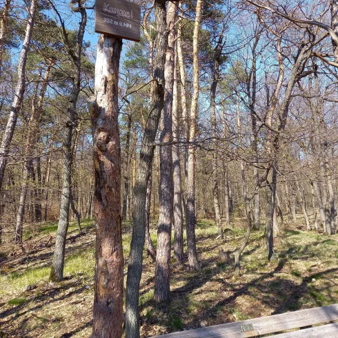 Aussichtspunkt Kanzel
